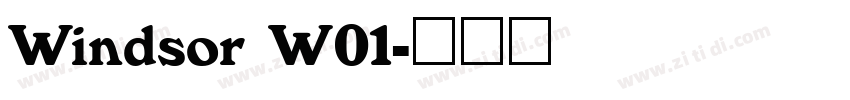 Windsor W01字体转换